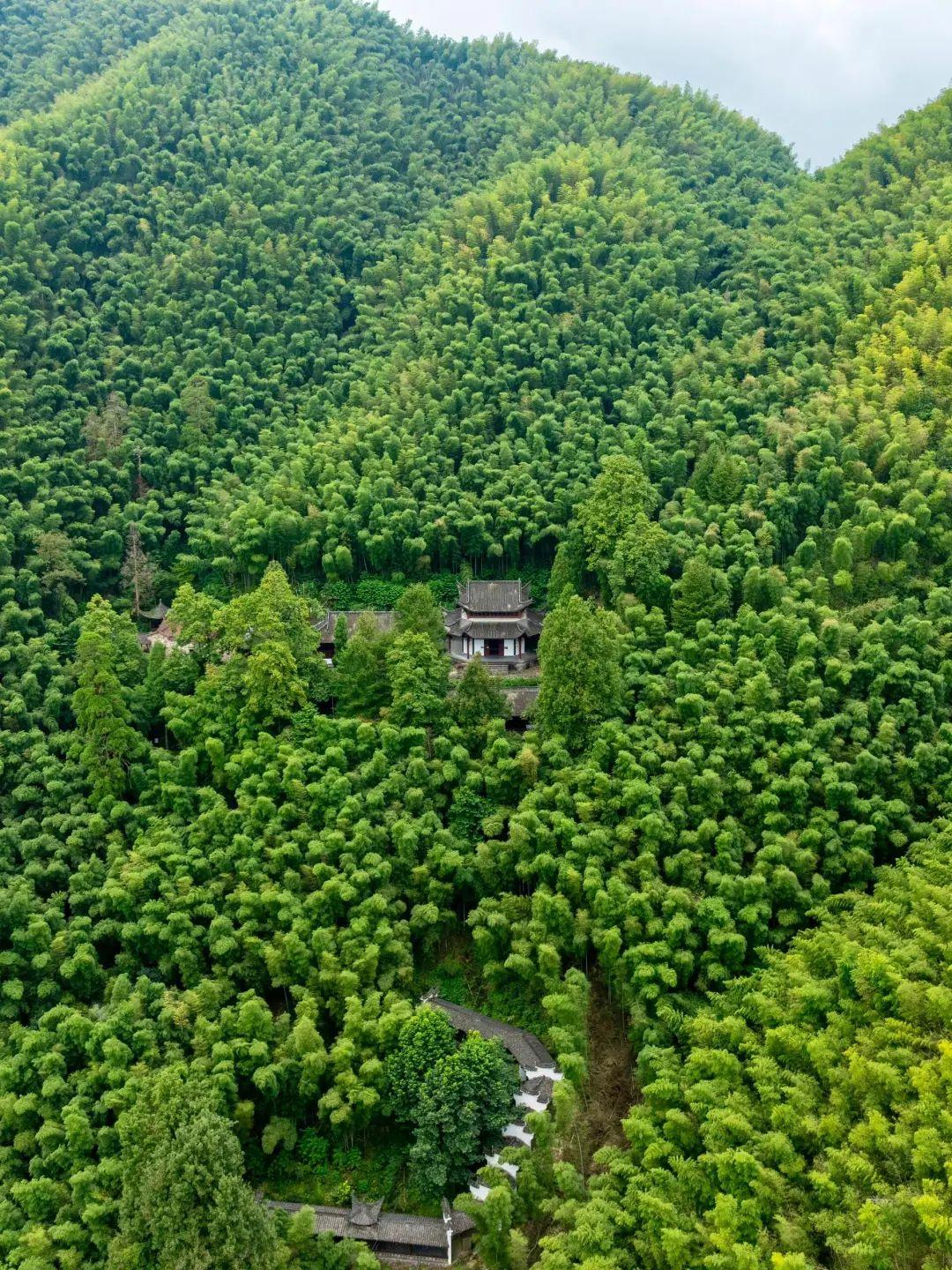 它是江浙沪最没存在感的城市，景区更是免费，出名的却只有鸭头！(图5)