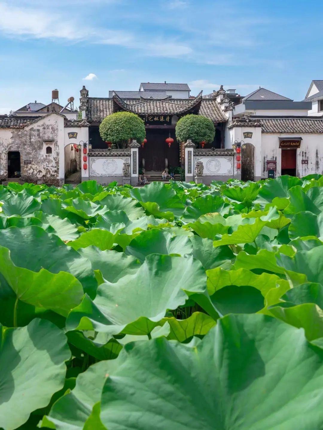 它是江浙沪最没存在感的城市，景区更是免费，出名的却只有鸭头！(图6)