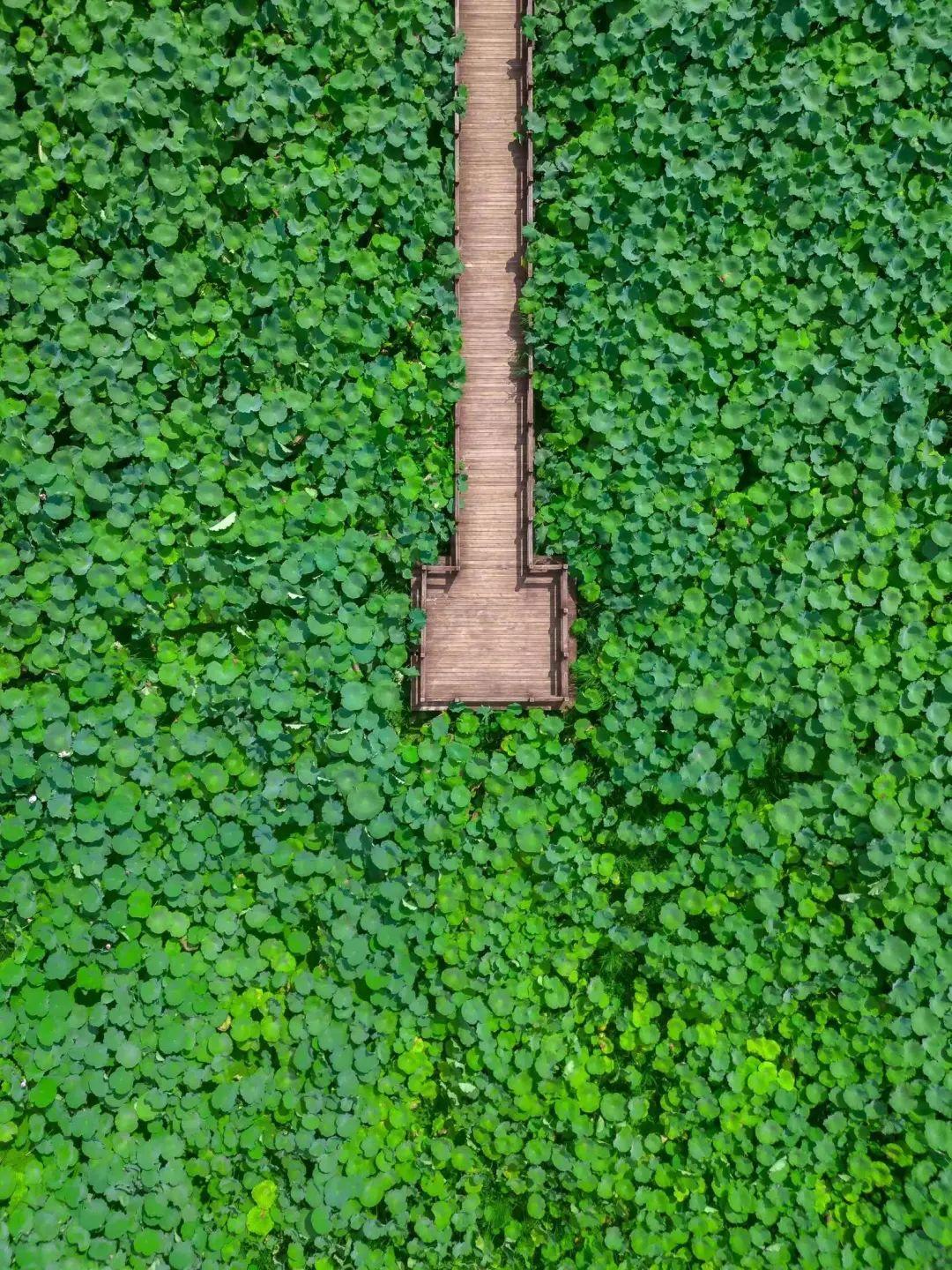 它是江浙沪最没存在感的城市，景区更是免费，出名的却只有鸭头！(图8)