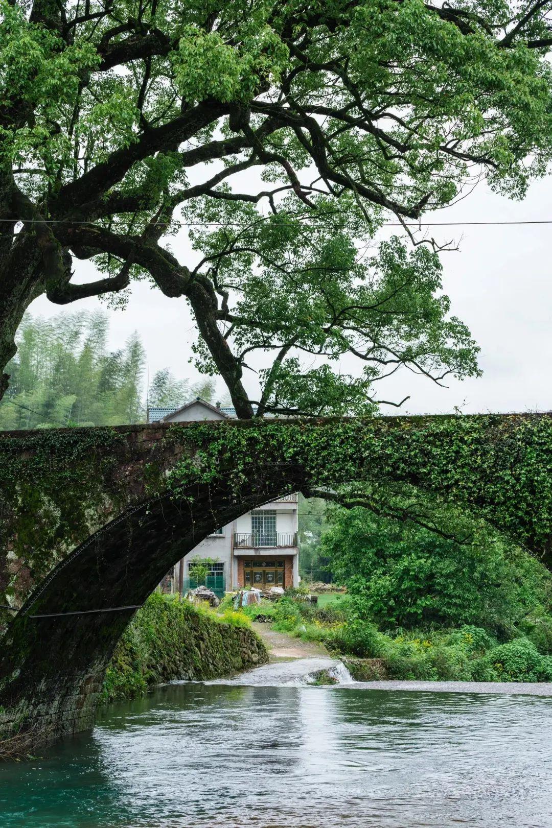 它是江浙沪最没存在感的城市，景区更是免费，出名的却只有鸭头！(图14)